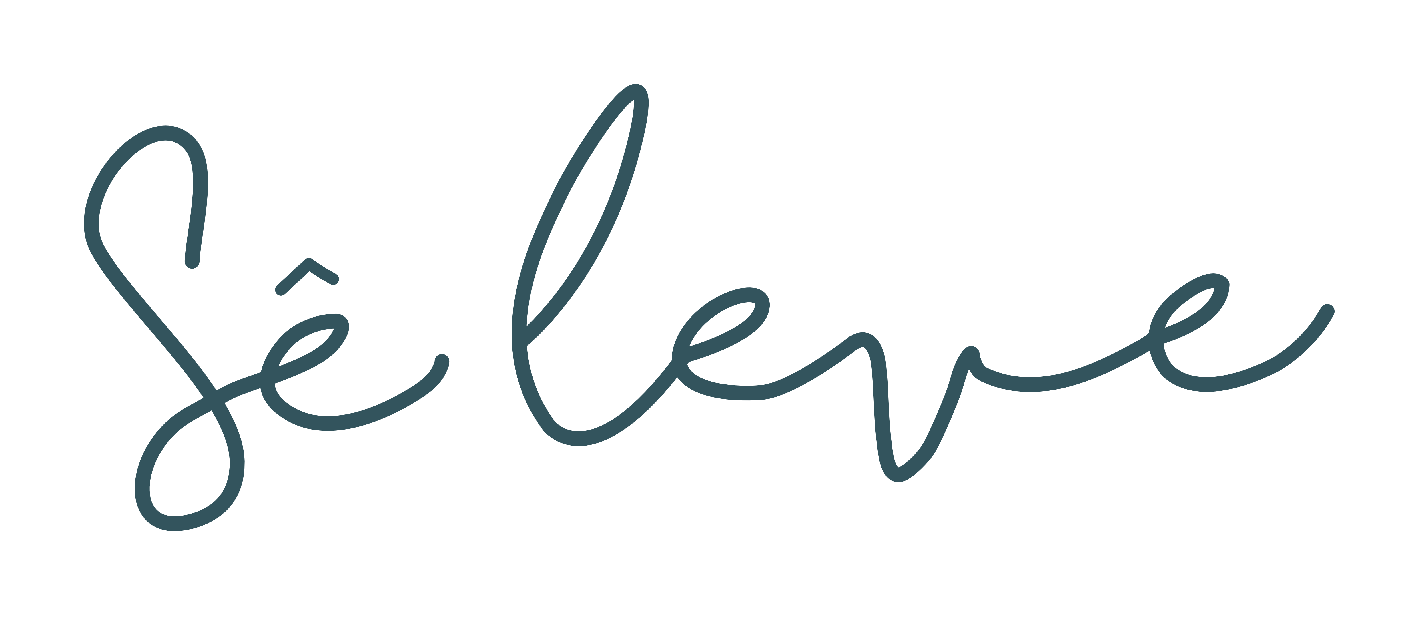 Logo Sê Leve
